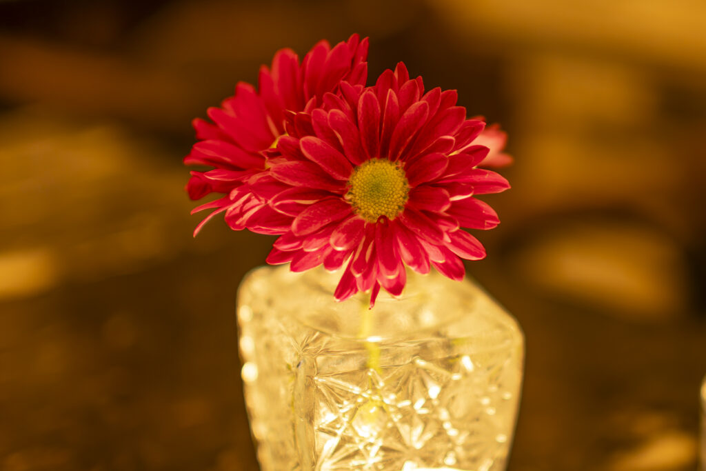Photography 03 25 2025 078