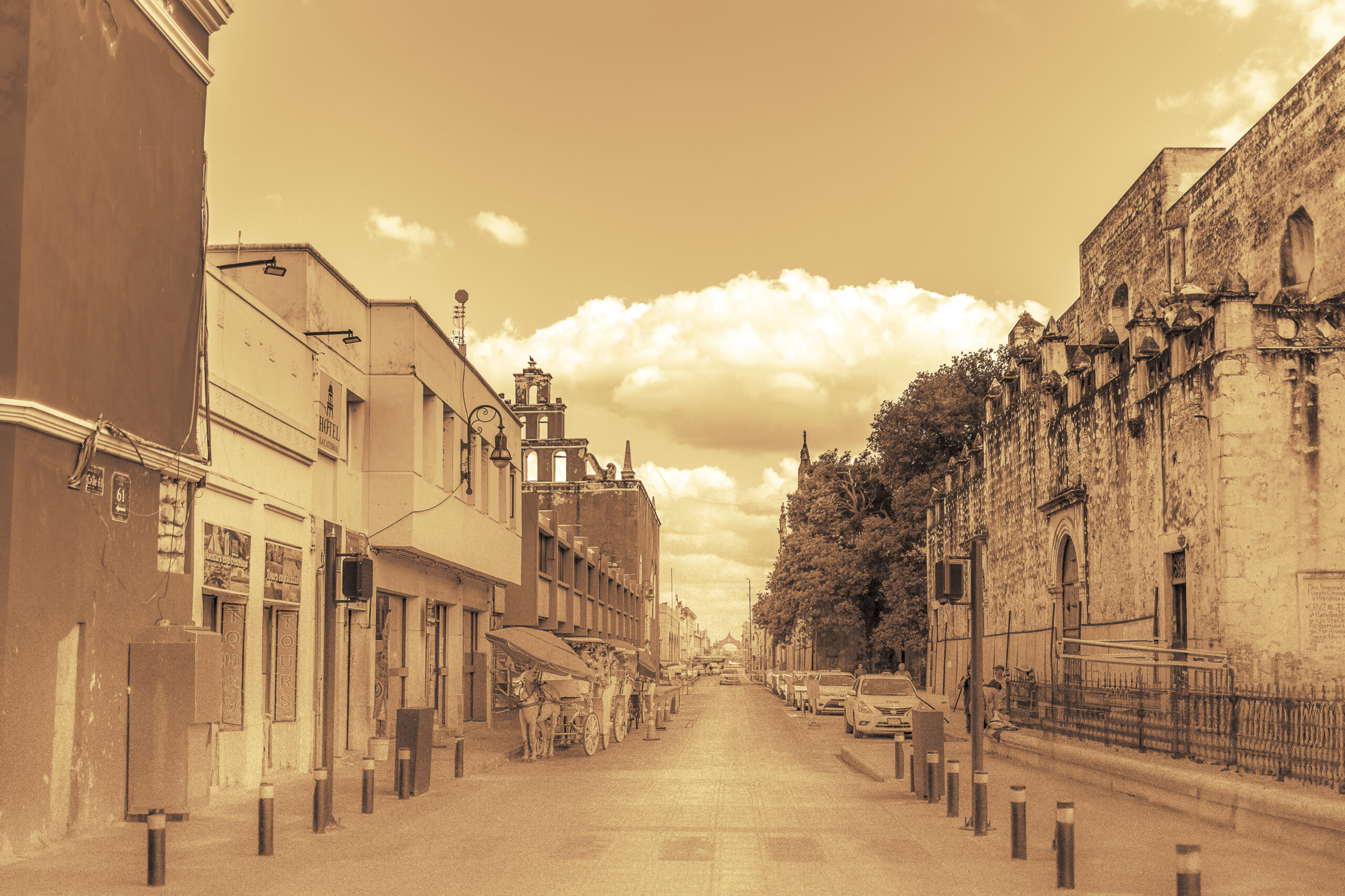 portadasephia2